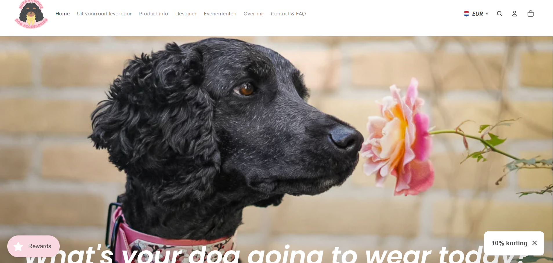 Nuka's Choice — Webshop — design & development